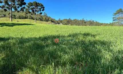 Chácara / sítio com 3 quartos à venda na Área Rural de Guarapuava, Guarapuava 