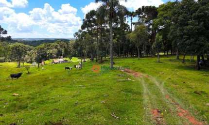 Chácara à venda, 18 alqueires por R$ 1.500.000,00 - Zona Rural - Guarapuava/PR
