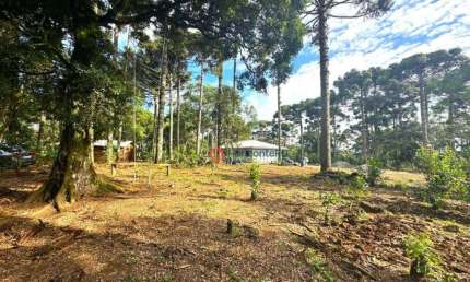 Chácara  à venda, 02 alqueires por R$ 700.000 - Palmeirinha - Guarapuava/PR