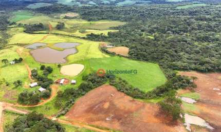 Fazenda com 72 Alqueires à venda, por R$ 8.556.000 - Guarapuava-PR