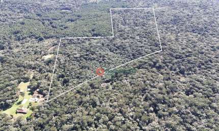 Área à venda, 13.28 Alqueire por R$ 850.000 - Palmeirinha - Guarapuava/PR