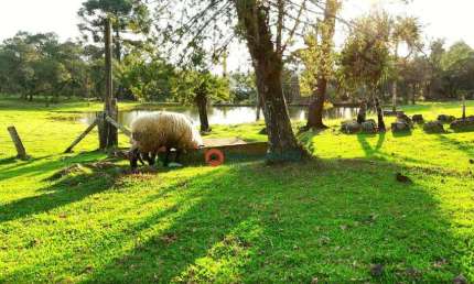 Chácara à venda, 05 alqueires por R$ 1.800.000 - Zona Rural - Guarapuava/PR