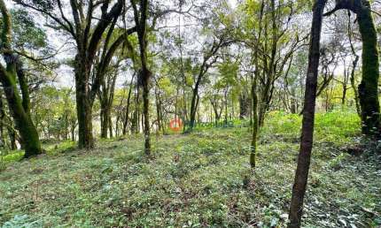 Chácara à venda, 20.000 m² por R$ 290.000 - Jordão - Guarapuava/PR