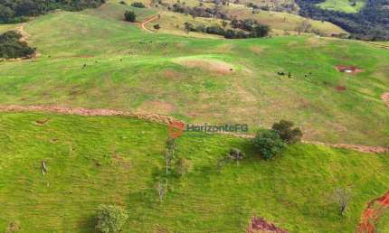 Fazenda à venda no Zona Rural, Guaraniaçu 