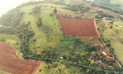 Chácara / sítio com 3 quartos à venda no Alagado, Candói 