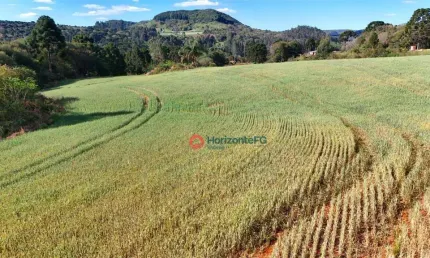 Chácara à venda, 3 hectares por R$ 380.000 - Jordão - Guarapuava/PR