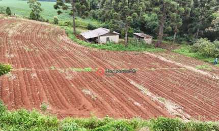 Chácara com 3,1 Hectares à venda, por R$ 550.000 - Zona Rural - Guarapuava/PR