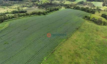 Chácara à venda, 07 alqueires por R$ 1.200.000 - Guairacá - Guarapuava/PR