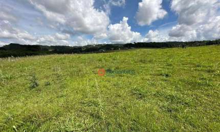 Chácara à venda, 1,5 alqueires por R$ 850.000 - Zona Rural - Guarapuava/PR