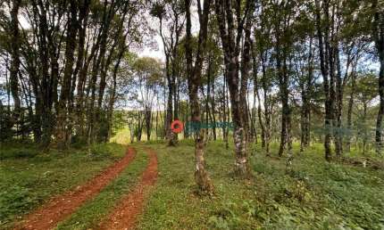 Fazenda à venda no Palmeirinha, Guarapuava 