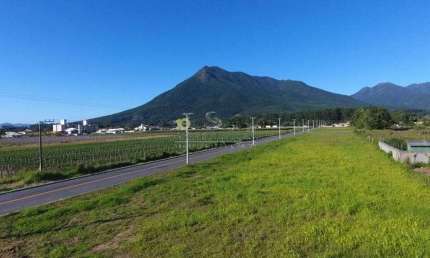 Terreno à venda, 473 m² por R$ 284.000,00 - Guarda do Cubatão - Palhoça/SC