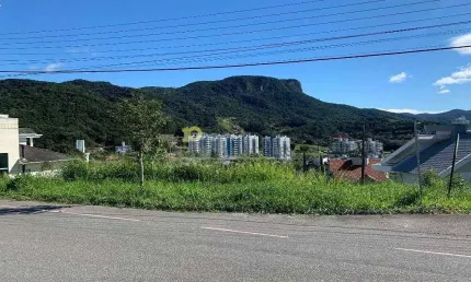 Terreno à Venda, Cidade Universitária Pedra Branca, Palhoça, SC