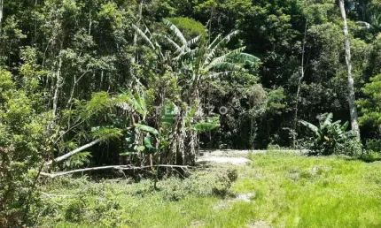 Terreno em condomínio fechado à venda no Carlos Guinle, Teresópolis 