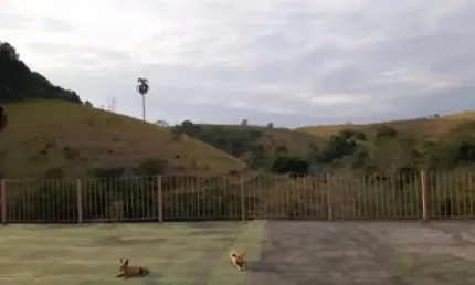 Fazenda à venda em Buquirinha, São José dos Campos 