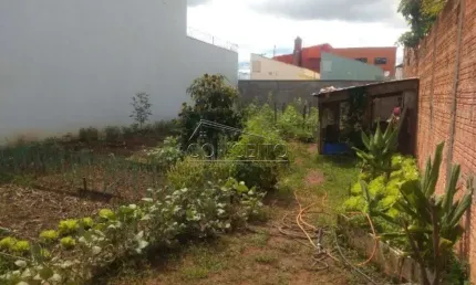 Terreno à venda no bairro Jardim Novo I em Rio Claro com 250 m² de área total.