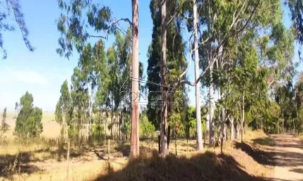 Sítio Santa Paula em São Pedro com 28172 m² de área total.
