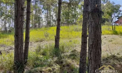 Terreno à venda, 3200 m² por R$ 660.000,00 - Caxambu - Jundiaí/SP