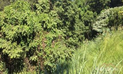 Terreno à venda, 1043 m² por R$ 1.124.000,00 - Chácara Malota - Jundiaí/SP