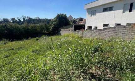 Terreno à venda, 350 m² por R$ 860.000,00 - Jardim Quintas das Videiras - Jundiaí/SP
