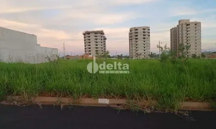 Terreno disponível para venda 250 m² no bairro loteamento luizote de freitas iv em uberlândia-mg