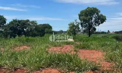 Terreno disponível para venda 250 m² no bairro loteamento luizote de freitas iv em uberlândia-mg