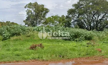 Terreno disponível para venda 300 m² no bairro Nossa Senhora das Graças em Uberlândia-MG