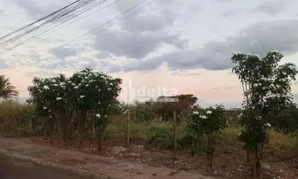 Terreno disponível para venda 432 m² no bairro cidade jardim em uberlândia-mg