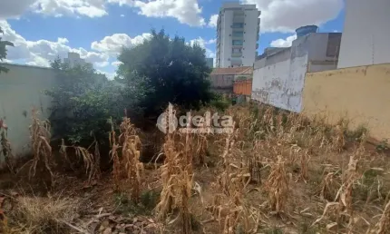 Terreno disponível para venda no bairro vigilato pereira em uberlândia-mg