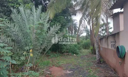 Chácara residencial disponível para venda no bairro morada nova em uberlândia-mg