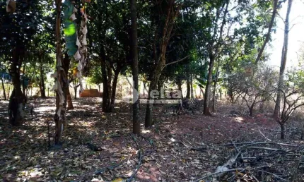 Chácara Residencial disponível para Venda no bairro Área Rural em Uberlândia-MG