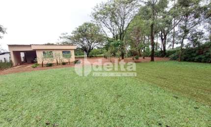 Chácara disponível para venda na Zona Rural de Uberlândia em Uberlândia-MG