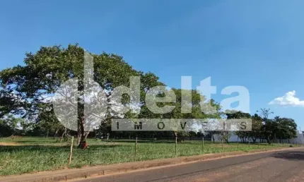 Terreno disponível para venda no bairro jardim karaíba em uberlândia-mg