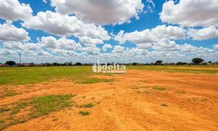 Terreno disponível para Venda 250,00 m² no bairro Umuarama em Uberlândia-MG