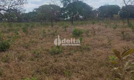 Chácara disponível para venda na Zona Rural de Uberlândia em Uberlândia-MG