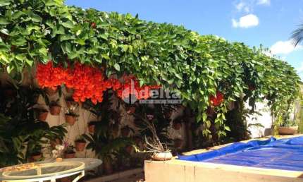 Casa residencial disponível para venda no bairro Jardim Colina em Uberlândia-MG