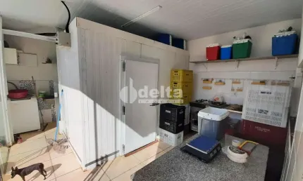 Casa residencial disponível para venda no bairro Jardim Europa em Uberlândia - MG
