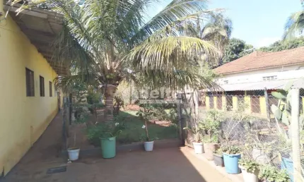 Casa residencial disponível para venda no bairro Presidente Roosevelt em Uberlândia-MG