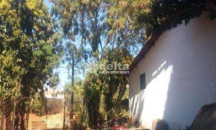 Chácara Residencial disponível para Venda no bairro Chácaras Tubalina e Quartel em Uberlândia-MG