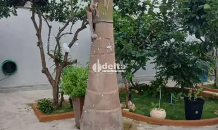 Casa disponível para venda no bairro cidade jardim em uberlândia mg