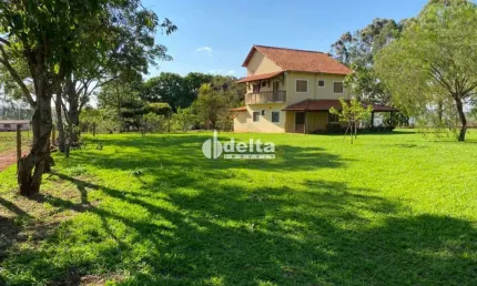 Fazenda disponível para venda na zona rural em Uberlândia-MG