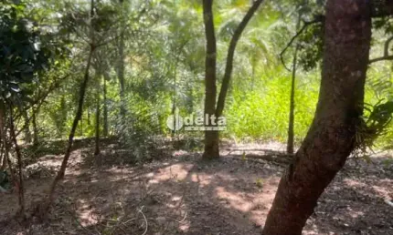 Chácara disponível para venda na região rural em Uberlândia-MG