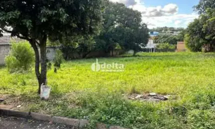 Terreno disponível para venda 2.400 m² no bairro Maravilha em Uberlândia MG