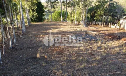 Área disponível para venda 4.000 m² no bairro Área Rural de Uberlândia em Uberlândia-MG