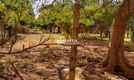 Chácara disponível para venda no bairro Morada dos Pássaros em Uberlândia-MG