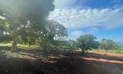 Chacara disponível para venda na zona rural de uberlândia-mg
