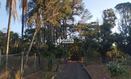 Chácara disponível para venda na Zona Rural de Uberlândia-MG