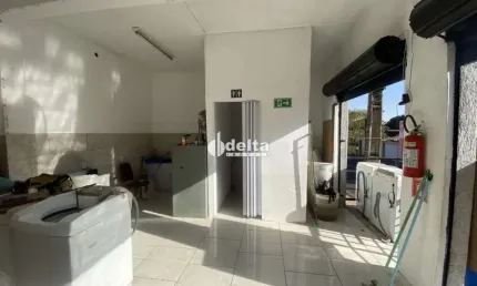 Casa residencial disponível para venda no bairro maravilha em uberlândia-mg