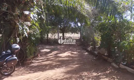 Chácara disponível para venda na zona rural de uberlândia em uberlândia-mg.