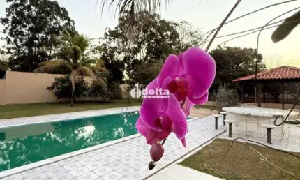 Casa com 10 quartos à venda no Mansões Aeroporto, Uberlândia 