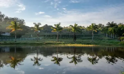 Casa em condomínio fechado com 5 quartos à venda no Loteamento Residencial Entre Verdes (Sousas), Campinas , 2043 m2 por R$ 15.999.000
